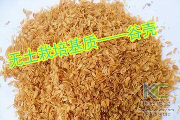 無(wú)土栽培，無(wú)土栽培技術(shù)