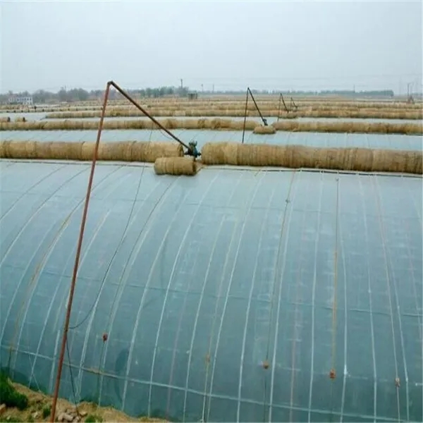 無(wú)土栽培，無(wú)土栽培技術(shù)，無(wú)土栽培設(shè)備