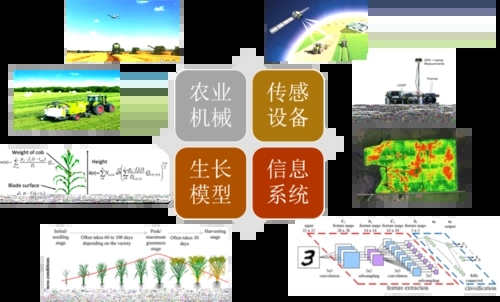 無(wú)土栽培，無(wú)土栽培技術(shù)，無(wú)土栽培設(shè)備